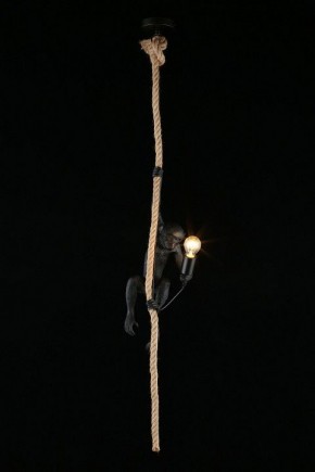 Подвесной светильник Aployt Magali APL.309.16.01 в Асбесте - asbest.ok-mebel.com | фото 3