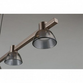 Подвесной светильник Aployt Rezeda APL.788.03.06 в Асбесте - asbest.ok-mebel.com | фото 4