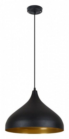 Подвесной светильник Arte Lamp Carmel A7076SP-1BK в Асбесте - asbest.ok-mebel.com | фото 2