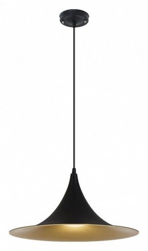 Подвесной светильник Arte Lamp Carmel A7080SP-1BK в Асбесте - asbest.ok-mebel.com | фото 2