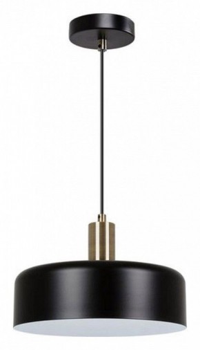 Подвесной светильник Arte Lamp Skat A7052SP-1BK в Асбесте - asbest.ok-mebel.com | фото