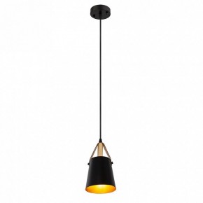 Подвесной светильник Arte Lamp Thomas A7032SP-1BK в Асбесте - asbest.ok-mebel.com | фото 3