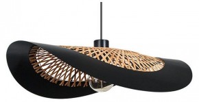Подвесной светильник Arte Lamp Woodstock A7059SP-1BK в Асбесте - asbest.ok-mebel.com | фото