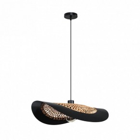 Подвесной светильник Arte Lamp Woodstock A7059SP-1BK в Асбесте - asbest.ok-mebel.com | фото 2