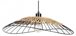 Подвесной светильник Arte Lamp Woodstock A7061SP-1BK в Асбесте - asbest.ok-mebel.com | фото