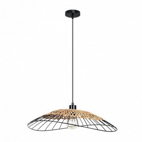 Подвесной светильник Arte Lamp Woodstock A7061SP-1BK в Асбесте - asbest.ok-mebel.com | фото 2