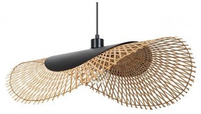 Подвесной светильник Arte Lamp Woodstock A7063SP-1BK в Асбесте - asbest.ok-mebel.com | фото