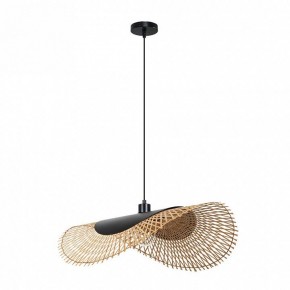 Подвесной светильник Arte Lamp Woodstock A7063SP-1BK в Асбесте - asbest.ok-mebel.com | фото 2