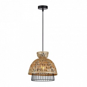 Подвесной светильник Arte Lamp Woodstock A7070SP-1BK в Асбесте - asbest.ok-mebel.com | фото