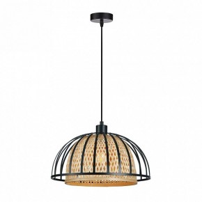 Подвесной светильник Arte Lamp Woodstock A7071SP-1BK в Асбесте - asbest.ok-mebel.com | фото