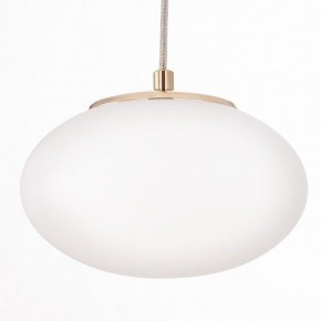 Подвесной светильник Citilux Atman Smart CL226A053 в Асбесте - asbest.ok-mebel.com | фото 10