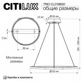 Подвесной светильник Citilux Trio CL215B051 в Асбесте - asbest.ok-mebel.com | фото 8