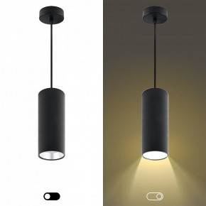 Подвесной светильник Эра  PL12 GX53 BK/SL в Асбесте - asbest.ok-mebel.com | фото 5
