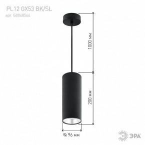 Подвесной светильник Эра  PL12 GX53 BK/SL в Асбесте - asbest.ok-mebel.com | фото 8