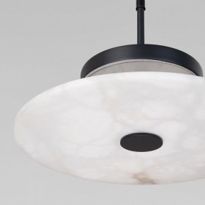 Подвесной светильник Eurosvet Thasos 40342 LED черный в Асбесте - asbest.ok-mebel.com | фото 8