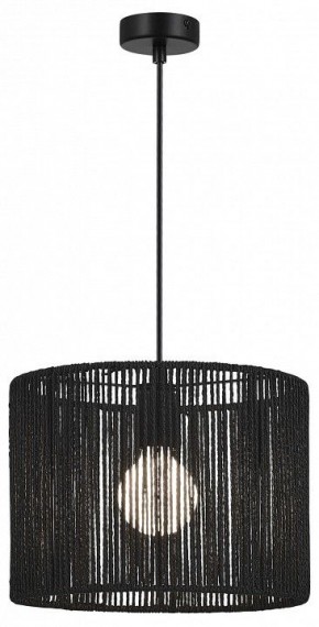 Подвесной светильник EVOLUCE ETTAN SLE6024-403-01 в Асбесте - asbest.ok-mebel.com | фото 2