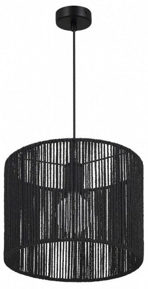 Подвесной светильник EVOLUCE ETTAN SLE6024-403-01 в Асбесте - asbest.ok-mebel.com | фото 3