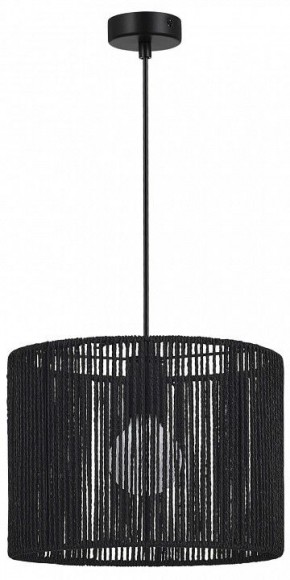 Подвесной светильник EVOLUCE ETTAN SLE6024-403-01 в Асбесте - asbest.ok-mebel.com | фото 4