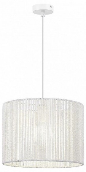 Подвесной светильник EVOLUCE ETTAN SLE6024-503-01 в Асбесте - asbest.ok-mebel.com | фото 2