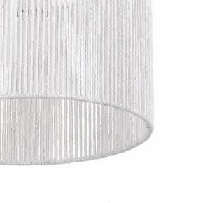 Подвесной светильник EVOLUCE ETTAN SLE6024-503-01 в Асбесте - asbest.ok-mebel.com | фото 8