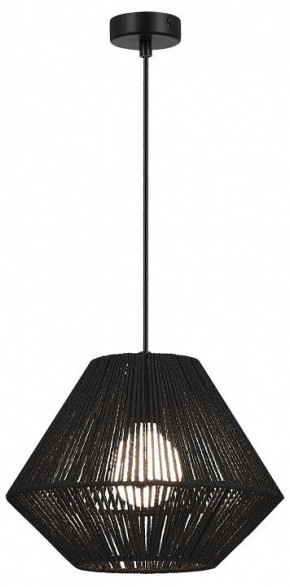 Подвесной светильник EVOLUCE ETTAN SLE6025-403-01 в Асбесте - asbest.ok-mebel.com | фото 2