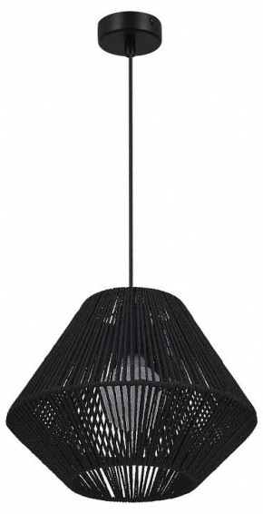 Подвесной светильник EVOLUCE ETTAN SLE6025-403-01 в Асбесте - asbest.ok-mebel.com | фото 4