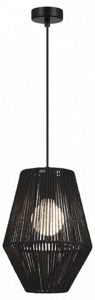 Подвесной светильник EVOLUCE ETTAN SLE6025-413-01 в Асбесте - asbest.ok-mebel.com | фото 2