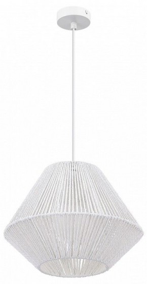 Подвесной светильник EVOLUCE ETTAN SLE6025-503-01 в Асбесте - asbest.ok-mebel.com | фото 3