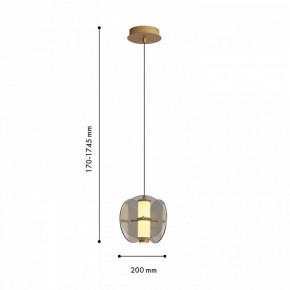 Подвесной светильник Favourite Fada 4625-1P в Асбесте - asbest.ok-mebel.com | фото 5