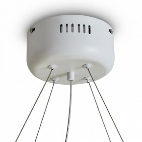 Подвесной светильник Freya Rain FR5546PL-L60W в Асбесте - asbest.ok-mebel.com | фото 9