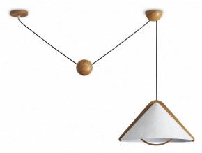 Подвесной светильник Freya Umbra FR5554CL-01T в Асбесте - asbest.ok-mebel.com | фото