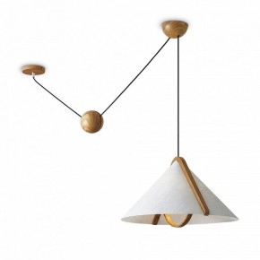 Подвесной светильник Freya Umbra FR5554CL-01T в Асбесте - asbest.ok-mebel.com | фото 2