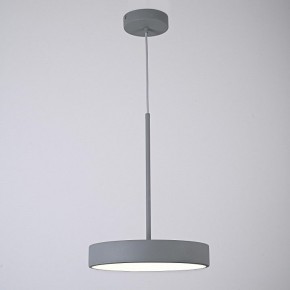 Подвесной светильник Imperiumloft TURNA Gray TURNA-ONE01 в Асбесте - asbest.ok-mebel.com | фото 5
