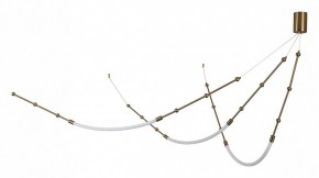 Подвесной светильник Indigo Corda 14010/3P Brass в Асбесте - asbest.ok-mebel.com | фото 2