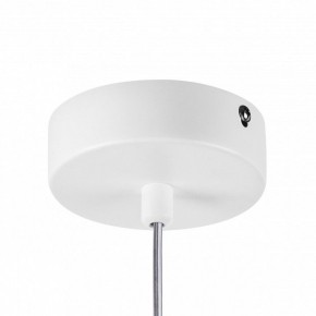 Подвесной светильник Lightstar Rocco 793136 в Асбесте - asbest.ok-mebel.com | фото 10
