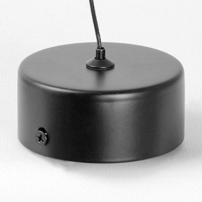 Подвесной светильник Lussole Blount LSP-7356 в Асбесте - asbest.ok-mebel.com | фото 6