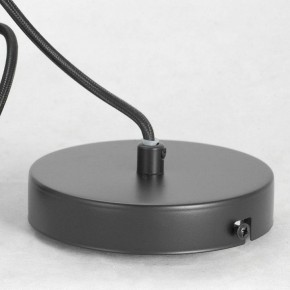 Подвесной светильник Lussole Strawberry GRLSP-8211 в Асбесте - asbest.ok-mebel.com | фото 6