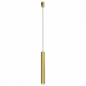 Подвесной светильник Maytoni Focus Led TR155-1-5W3K-BS в Асбесте - asbest.ok-mebel.com | фото