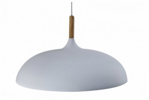 Подвесной светильник Moderli Hygo V11447-1P в Асбесте - asbest.ok-mebel.com | фото