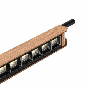 Подвесной светильник Odeon Light Punto 7018/40LB в Асбесте - asbest.ok-mebel.com | фото 6