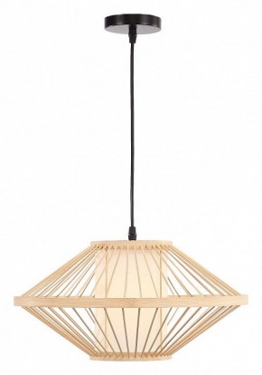 Подвесной светильник ST-Luce ALMA SL6241.533.01 в Асбесте - asbest.ok-mebel.com | фото