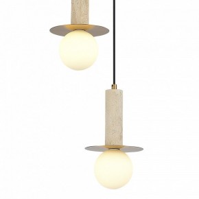 Подвесной светильник ST-Luce Earthy SL1194.303.03 в Асбесте - asbest.ok-mebel.com | фото 4