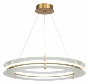 Подвесной светильник ST-Luce FAGY SL6245.203.01 в Асбесте - asbest.ok-mebel.com | фото 2