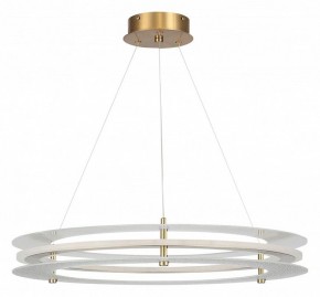 Подвесной светильник ST-Luce FAGY SL6245.203.01 в Асбесте - asbest.ok-mebel.com | фото 3