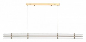 Подвесной светильник ST-Luce FAGY SL6245.223.01 в Асбесте - asbest.ok-mebel.com | фото 3