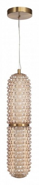 Подвесной светильник ST-Luce SAGUARO SL6144.303.01 в Асбесте - asbest.ok-mebel.com | фото 3