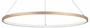 Подвесной светильник Vitaluce V2516 V2516-8/1S в Асбесте - asbest.ok-mebel.com | фото