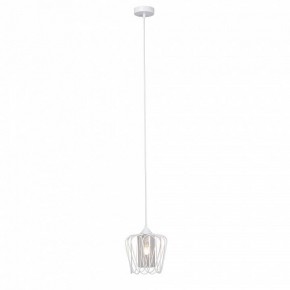 Подвесной светильник Vitaluce V2843 V2843-0/1S в Асбесте - asbest.ok-mebel.com | фото 4