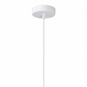 Подвесной светильник Vitaluce V2848 V2848-0/1S в Асбесте - asbest.ok-mebel.com | фото 6