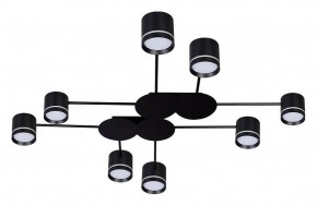 Потолочная люстра Arte Lamp Legacy A8024PL-8BK в Асбесте - asbest.ok-mebel.com | фото